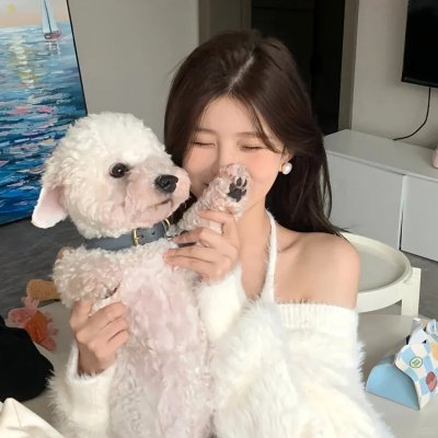 雁归西窗月
